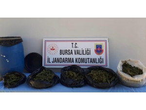Bursa’da Ormanda Toprağa Gömülmüş Halde 5 Kilo Esrar Bulundu