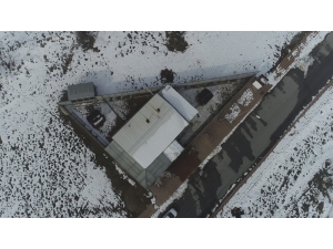 Sokak Kedilerine 5 Yıldızlı Otel Konforunda Bakım