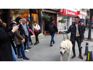 Türkiye’de Daha Büyüğü Yok! Onu Görenler Şaşkınlıklarını Gizleyemedi