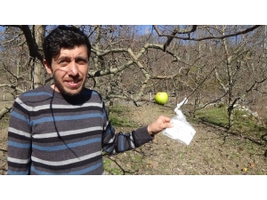 Hamile Eşi Aş Erince Bakın Ne Yaptı