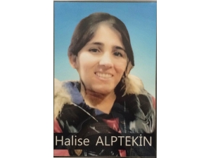 Jandarma İkna Etti, Kadın Terörist Teslim Oldu