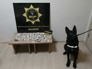 Dedektör Köpek Baht’dan Bingo