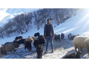 Saman Fiyatları Arttı, Besici Zor Durumda Kaldı