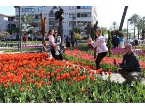 Alanya’da Yeşil Alanlar Renklendiriliyor