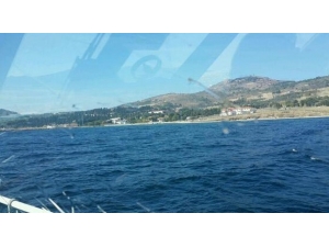 İmralı Adası’nda Orman Yangını