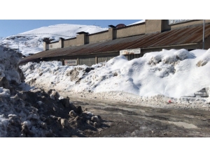 Hakkari Kent Merkezide Karla Mücadele Sürüyor