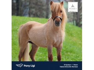 Sur Yapı Marka Avm Binicilik Tutkunlarını Buluşturuyor