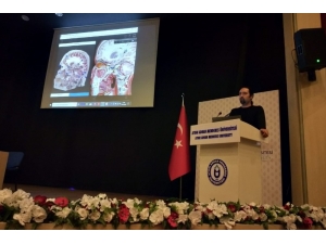 Visible Body Human Anatomy Atlas-3 Boyutlu Anatomi Atlası Eğitim Semineri Gerçekleşti