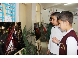 Hasat Mevsiminin En Güzel Fotoğrafları Sergilendi