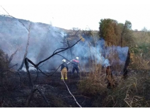 Erdek’te Arazi Yangını