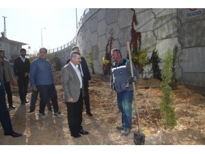 Yeşilyurt Bahara Hazırlanıyor