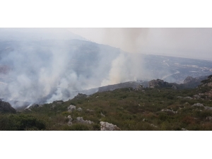 Samandağ’da Otluk Alanda Yangın