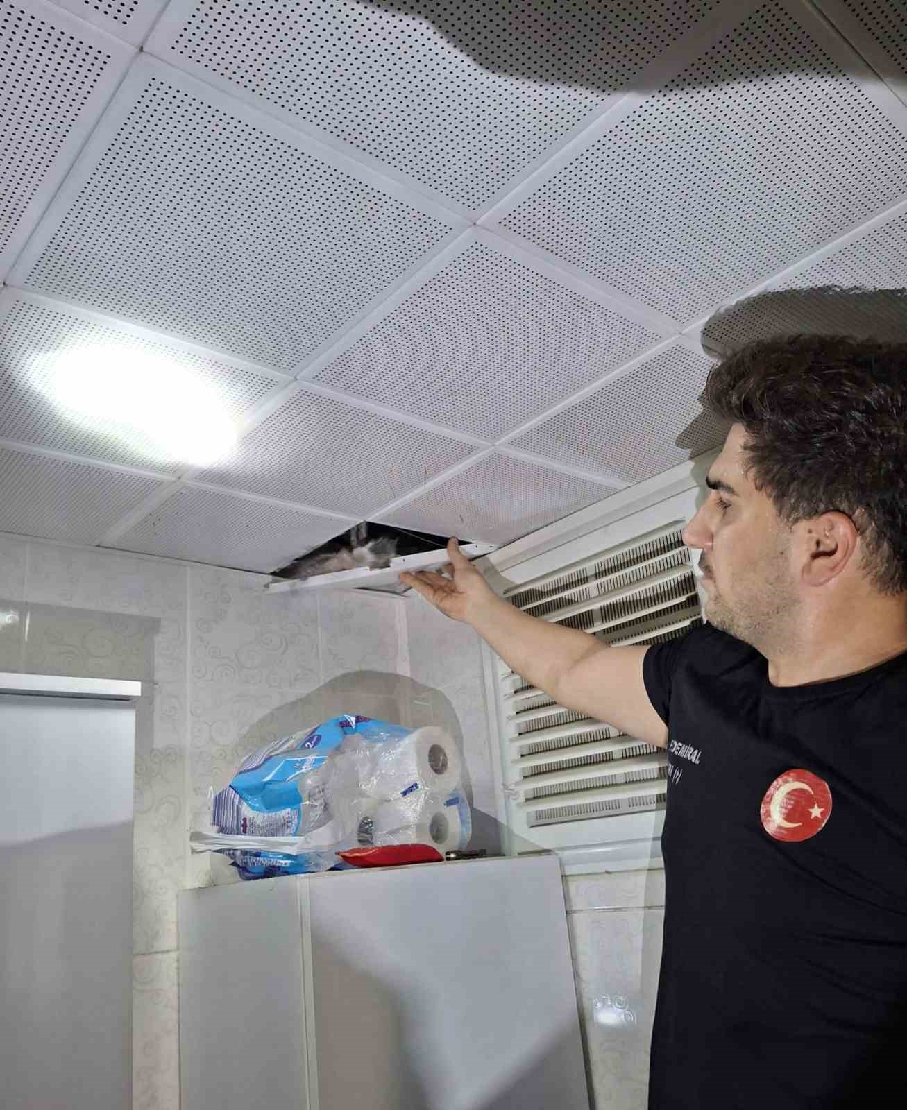 batman-da-asma-tavanda-sikisan-guvercinler-itfaiye-tarafindan-kurtarildi