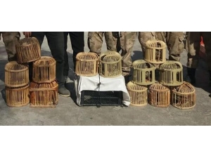 Canlı Mühreyle Kaçak Kınalı Keklik Avına 39 Bin Tl Para Cezası