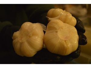 Sarımsağın Alternatifi Sarımsak Turşusu