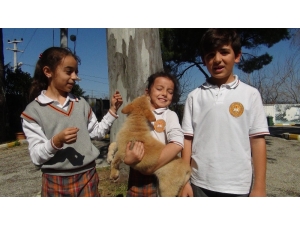 Minik Öğrencilerden Örnek Davranış