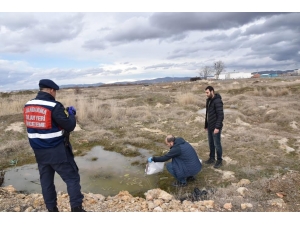 Afyonkarahisar’da Yol Kenarında Patlayıcı Madde Bulundu