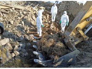 Deprem Bölgesinde Çalışmalar Devam Ediyor