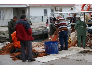 İzmirli Balıkçılar: “Mültecileri Adalara Seve Seve Taşırız”