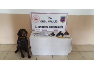 Ordu’da Uyuşturucu Operasyonu: 4 Gözaltı