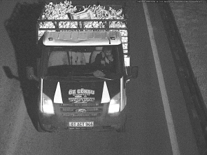 2.5 Ton Portakal Çalan Zanlı Yakalandı