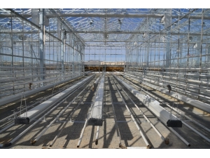 Kaeü’sinde, Jeotermal Kaynaklı Ar-ge Serası Açıldı