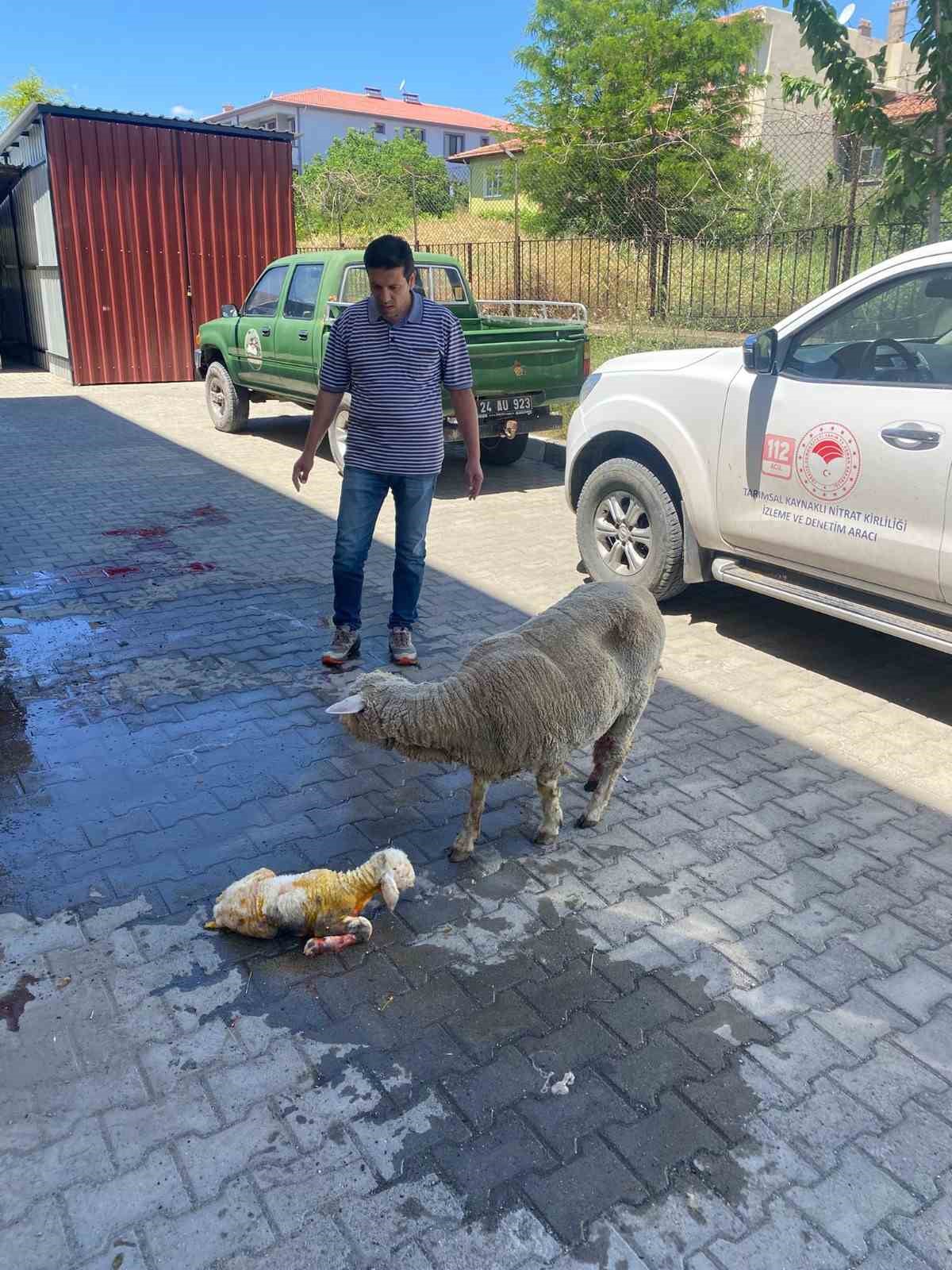 erzincan-da-zamanla-yaris-mutlu-sonla-bitti