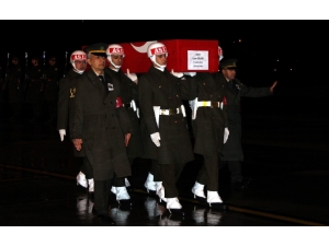 Şehit Uzman Onbaşı Gözyaşlarıyla Karşılandı