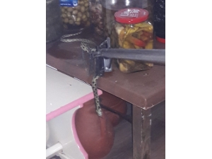 Fethiye’de İtfaiyeden Yılan Yakalama Operasyonu