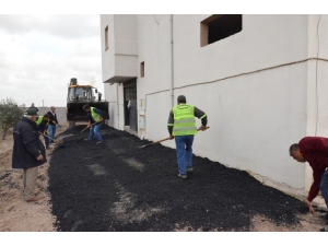 Felçli Çiftin Evinin Önü Ambulans İçin Asfaltlandı