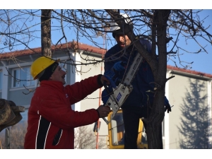 Emet’te Yeşil Alan Seferberliği