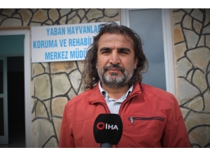 Lokman Aslan: “Türkiye, Tür Zengini Bir Ülkedir”