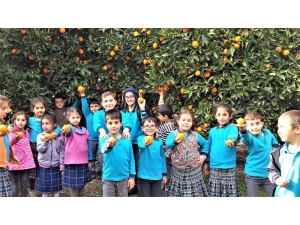 Portakalla Kurulan Kardeşlik Köprüsü Şırnak’a Ulaştı