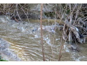 17 Gündür Aranıyordu, Ölü Olarak Bulundu