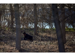 Yunan Askerleri Mültecilere Ateş Açtı