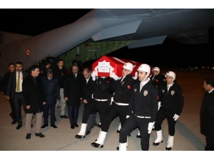 Şehit Gümrük Memuru Türk’ün Cenazesi Şanlıurfa’ya Getirildi