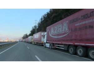 Sarp’ta ’Korona’ Kuyruğu