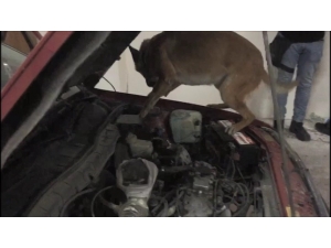 Otomobilin Motoruna Zulalanmış Uyuşturucu Böyle Bulundu