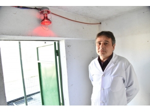 Sokak Hayvanları Üşümesin Diye Barınakların İçine Isıtıcılar Konuldu