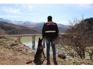 Kayıp Gülistan’ı Arama Çalışmaları Sürüyor