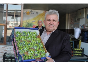 Turfanda Erik Cep Yakıyor