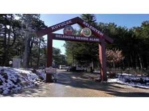 Mart Ayında Kar Gören Aydınlılar Oraya Koştu