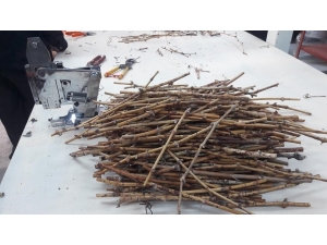 Coğrafi İşaretli ’Delice Beyazı Üzüm’den 150 Bin Adet Üretilecek