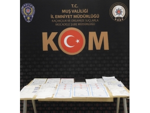 Muş’ta Tefeci Operasyonu: 7 Gözaltı