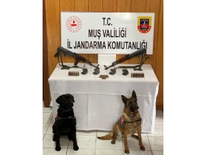 Muş’ta Silah Ve Mühimmat Kaçakçılarına Operasyon