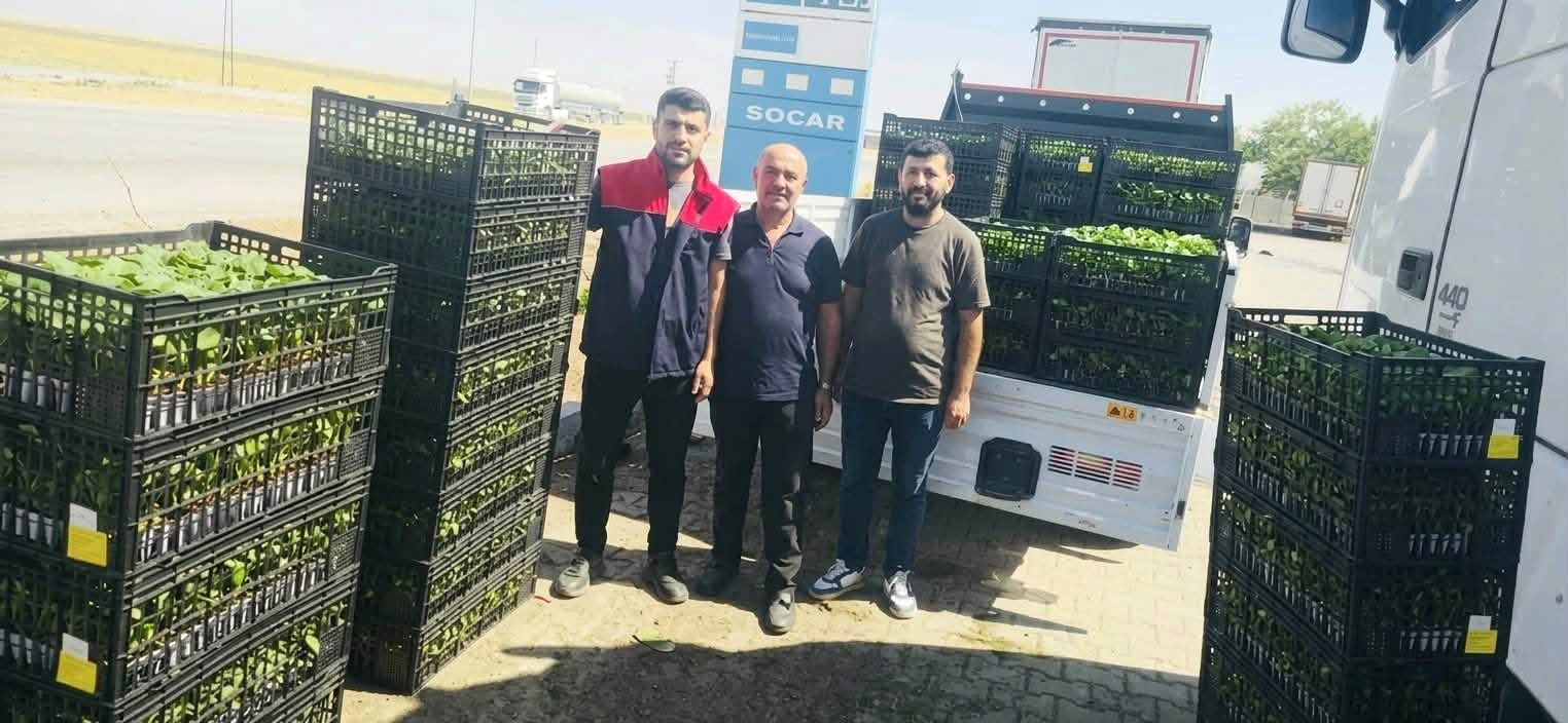 cizre-de-ciftcilere-yuzde-75-hibeli-fide-destegi