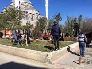 Yerköy’de Ağaçlandırma Çalışmaları Devam Ediyor