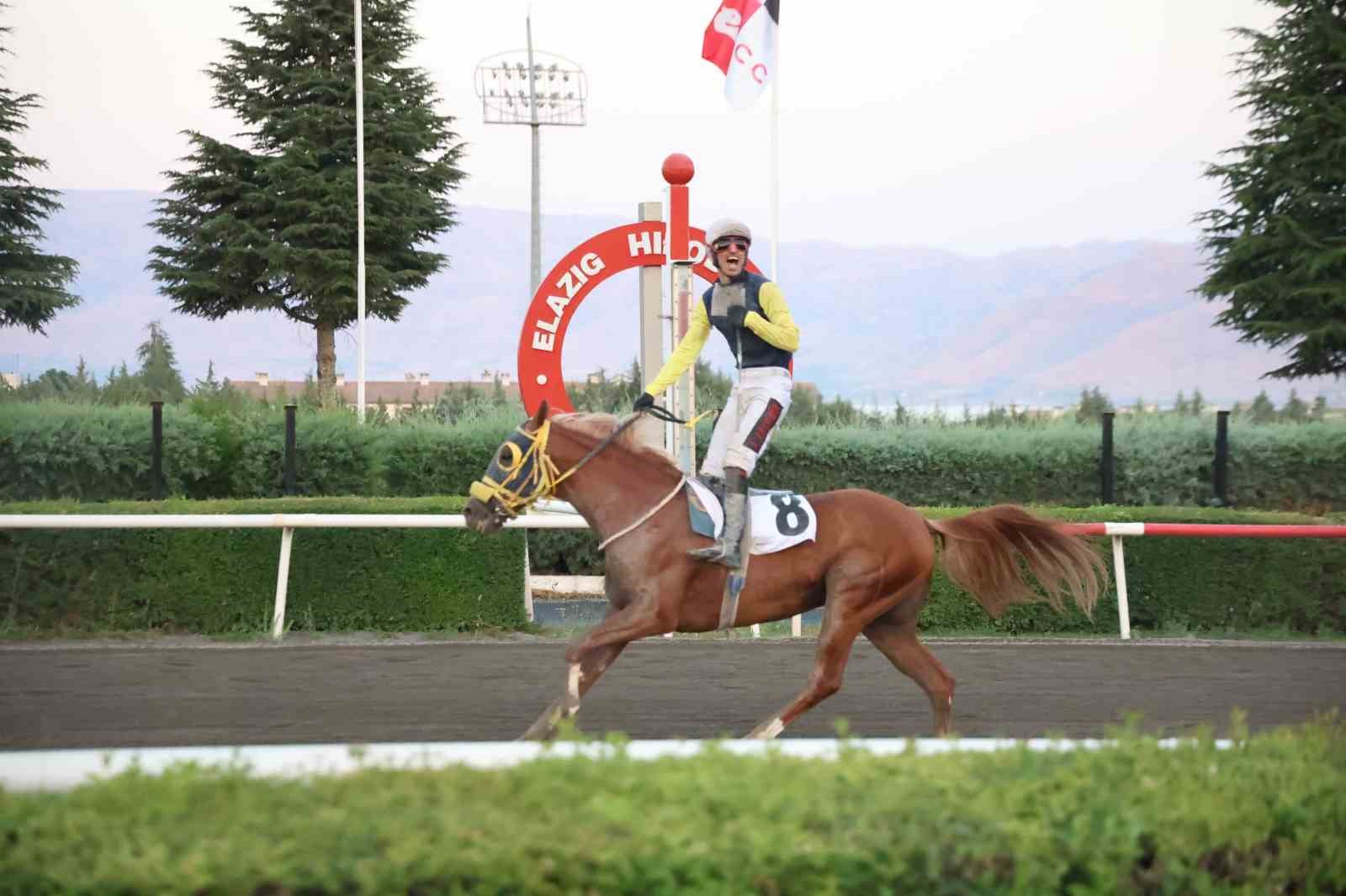valilik-kosusunda-zafer-nesib-in