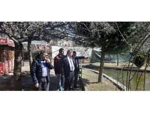 Sungurlu Şehir Parkına Makyaj