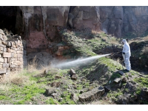 Sivrisineklere Erken Önlem